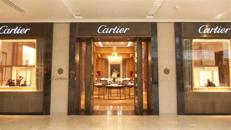 cartier torino curriculum